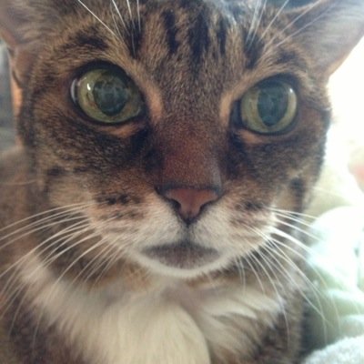 Yuka0616Yuka's profile picture. 