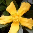 Lynda Stanton - @loupix73 - Twitter