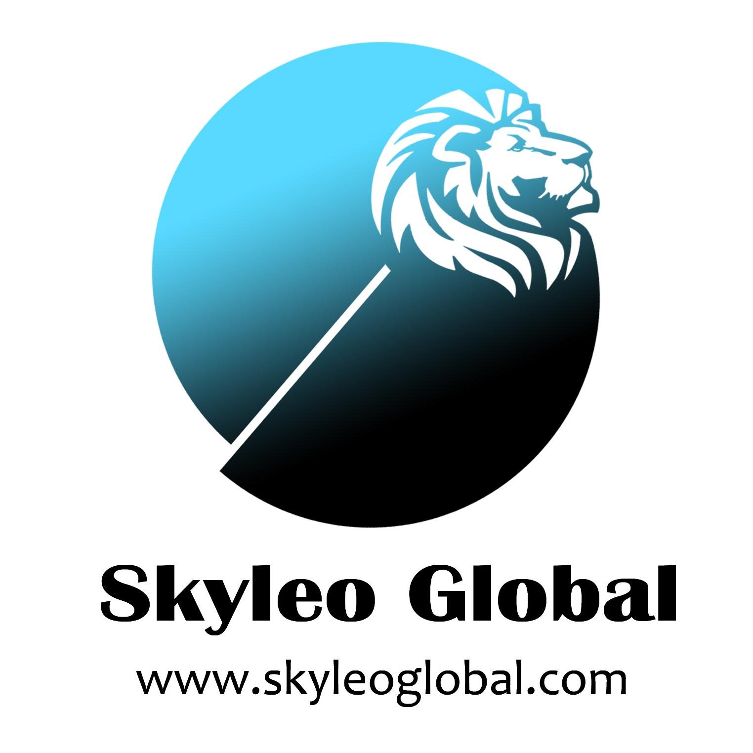 Let's Connect.
Learning in Progress... Skyleo Global 3.0