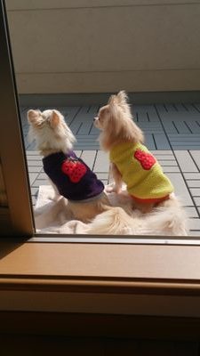 虹島さんのプロフィール画像