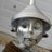 homeLLauna's profile image
