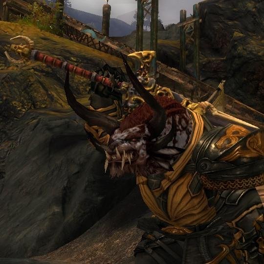 Saqxon's profile picture. 