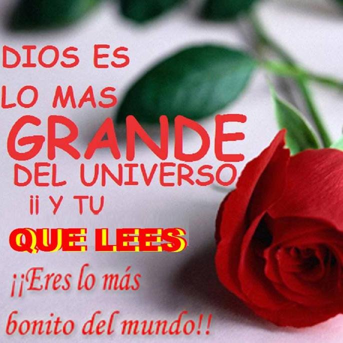 Amante de las relaciones públicas, me gusta leer y escribir.
