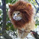 Mark Chilson - @Mlarkay - Twitter