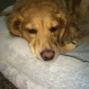 Michael Esch - @izoggozi - Twitter