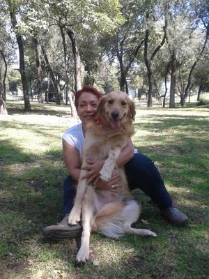 Ylaiza1's profile picture. 