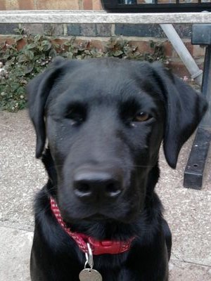 jcadman789's profile picture. 