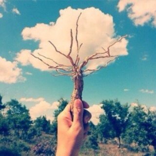 @wejdan2901 جنة الدنيا.