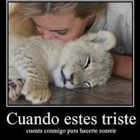 cuentasecretos (@cuentasecreto2) 's Twitter Profile