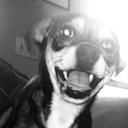 Kate Warren - @katesillswarren - Twitter