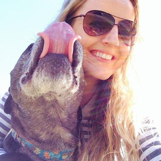 Adventurer. Straight shooter. Dog chaser. Social platform wrangler. Say hi. Be nice.