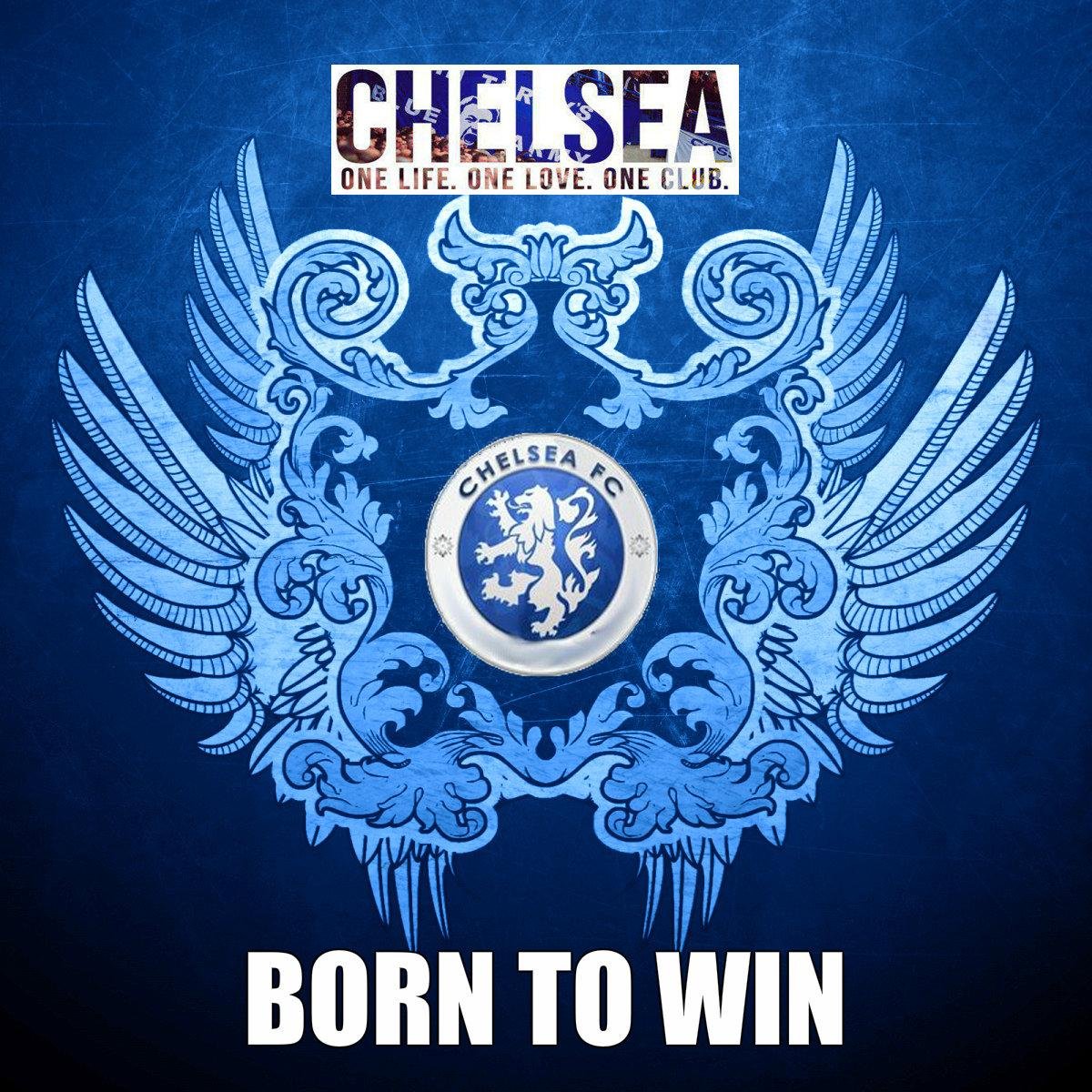 Chelsea  Addict  Just  Chilling Looking At some Tweets