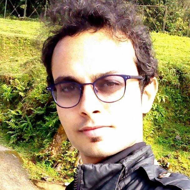Artist, Guitarist, Avionics Embedded Engineer @Safran