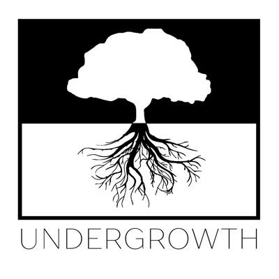 Undergrowth; the latest in street and skate wear...