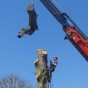 ETM Tree Services undertake all types of tree work. All works are covered by £5000000 public liability and are completed by NPTC Qualified Tree Surgeons