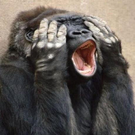 magicairx's profile picture. 