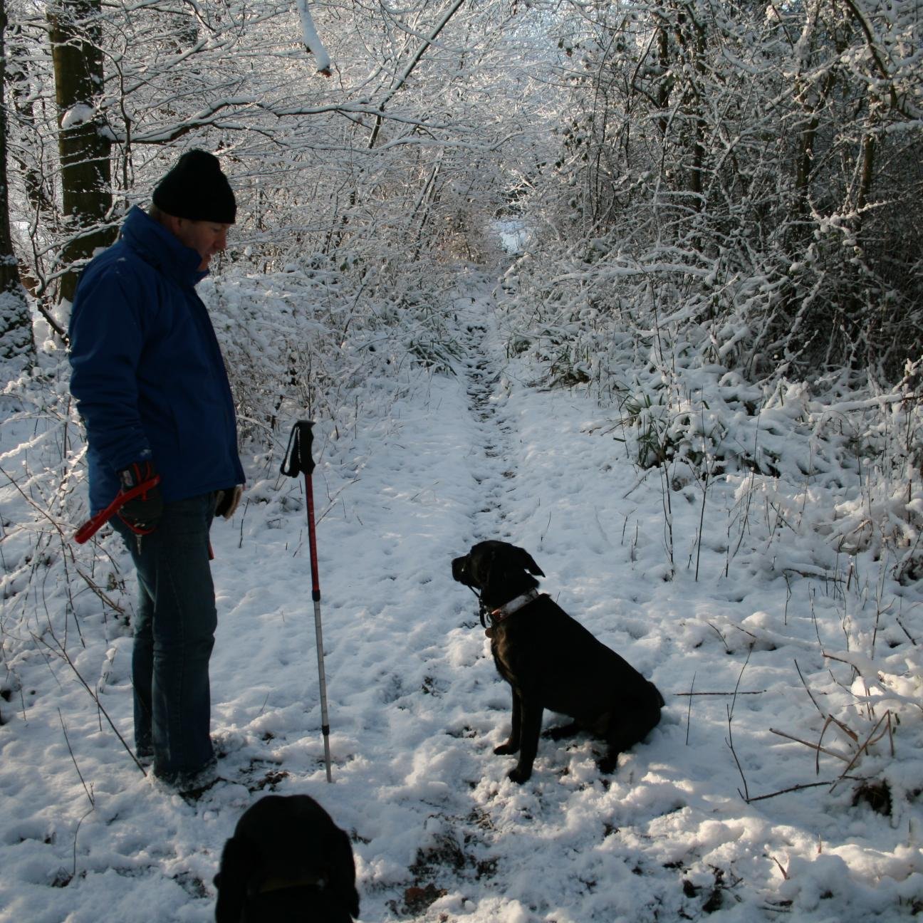 graeme717's profile picture. amateur tree surgeon and plant pruner.....