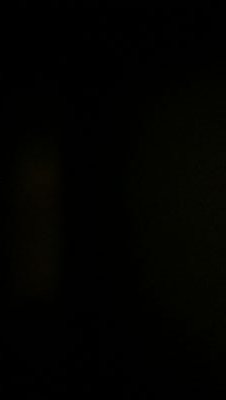 bkhalifeh33's profile picture. 