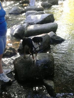 pilarleonmartin's profile picture. 