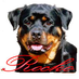 Mario Ecklebe (@rockos_hardware) Twitter profile photo