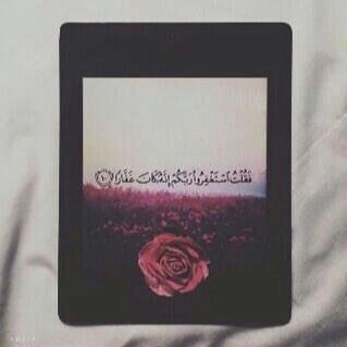 الفردوس.