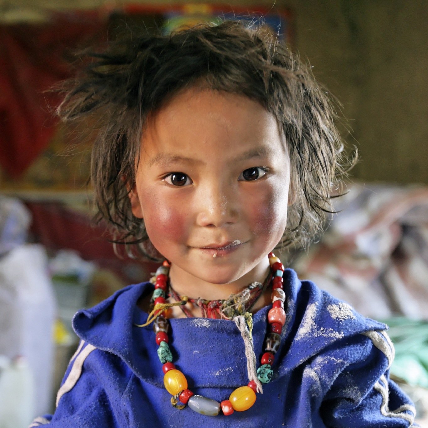 Non-profit humanitarian org, co-founded by @Matthieu_Ricard. Health care, education, women/girls tech, #solar & sustainable development: India, Nepal & Tibet.