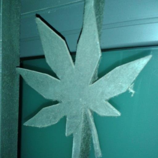 Cannabis/Hemp/Marijuana enthusiast & former #MMJ patient, leaving Spain in November & moving back to Colorado to get into the mj/hemp industry.
