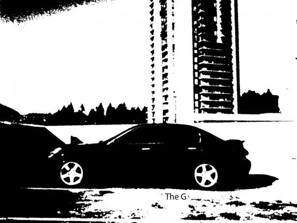 Nibsss08's profile picture. 