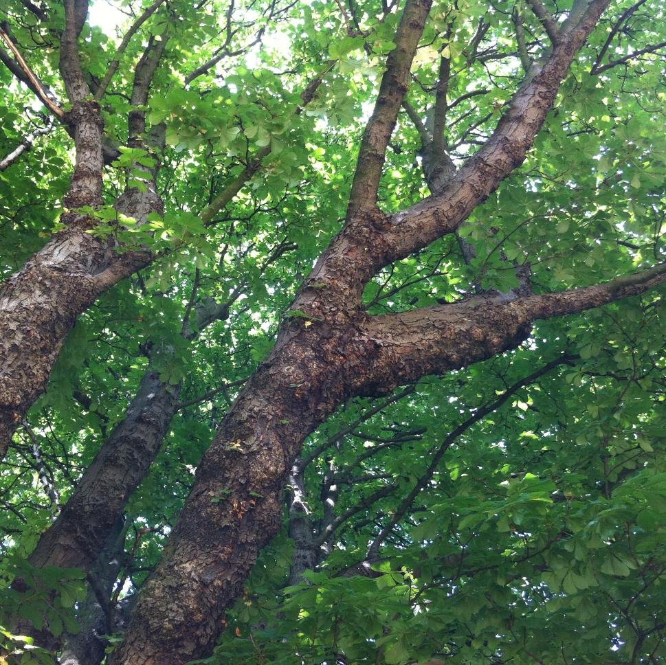 Thisishownow's profile picture. Celebrating solutions. Website launching end 2016. Please DM ideas for stories, features and profiles.