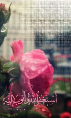 ‏سبحان اللھ وبحمدھ سبحان اللھ العظيم ♡ ❥