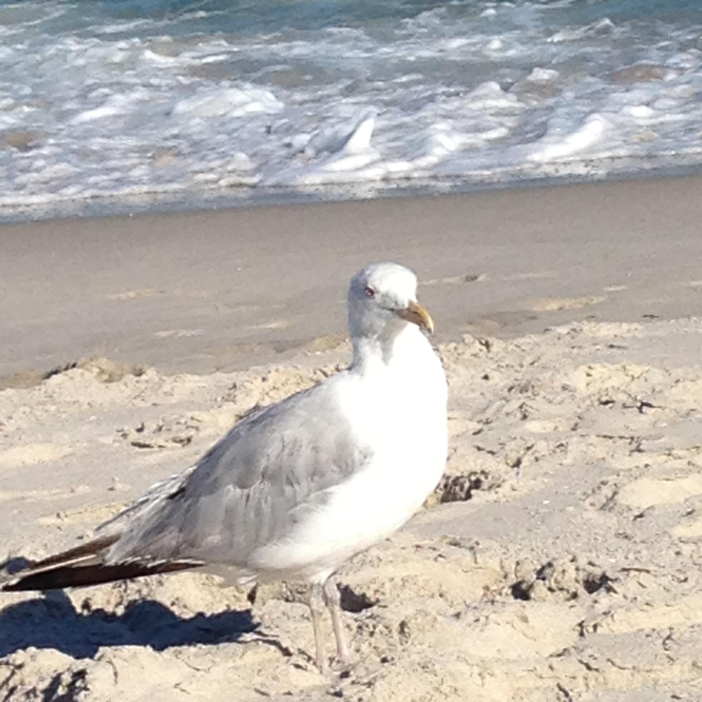 Cruise Planners Travel Agent, Alaska, Caribbean, Tours, Destination Weddings, Groups, Geocaching, Special Needs Groups.