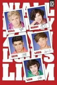 soy y sere DIRECTIONER FOREVER ♡♥♡♥♡♥♡♥
