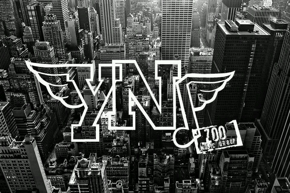 This Twitter page is dedicated fly people & dope shit!! So if you Young Nd Doin it (YND) this page is for you!!