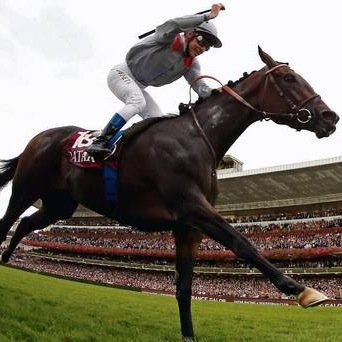 hedge_bet's profile picture. Backing to lay on the exchanges is the game. Profit is the aim.

#1kchallenge