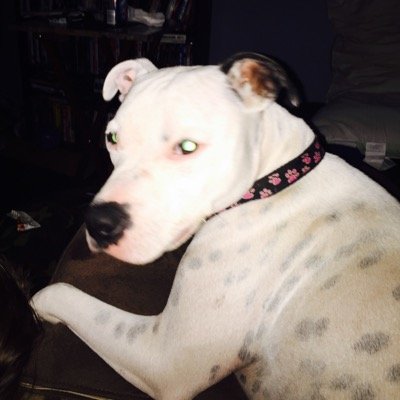 Lorigray1972's profile picture. 