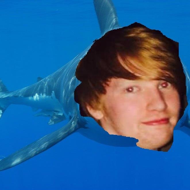 looneyal's profile picture. 