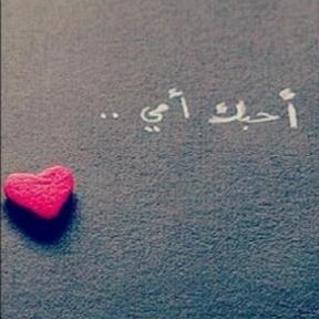 ولدتني أم جميله ورآئعه ، وعشتُ طفله مدللة ..وكبرت فتآةة مغٌرورهہ بـ آبيهاا وآمهآ .. وسَ أظل كما اانا .. ♡