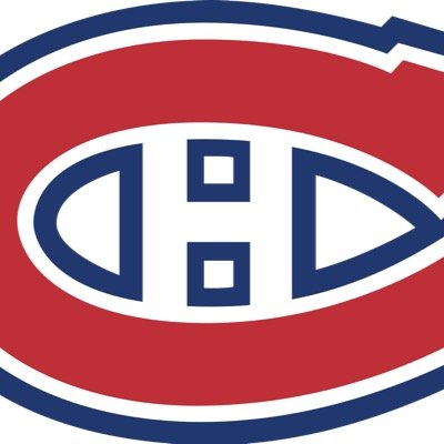 Sports fan,