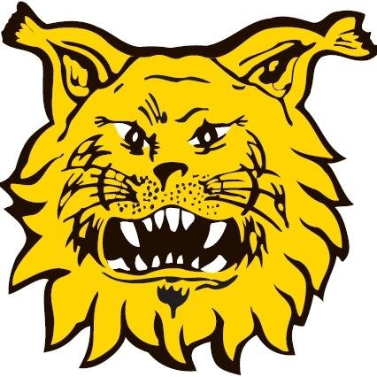 IlvesSalibandy's profile picture. Official Ilves Salibandy. Seuraa joukkueen tapahtumia salibandyn 2-divarissa. #salibandy #floorball #innebandy #unihockey