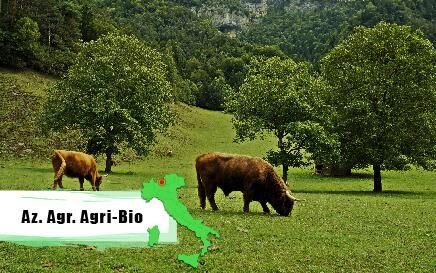 agribio_bg's profile picture. siamo un'azienda #agricola che #alleva #bovini #razza #scozzese # produciamo #carne #grass-fed  #gluten #free allevata allo stato #brado povera di #colesterolo
