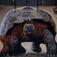 Syds Stencil Shed (@thestencilshed) 's Twitter Profile