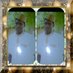 Sabeer bello aulah (@sabeeraulah) Twitter profile photo