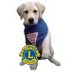 sheffieldlions's profile picture. Lions members serving our community, state, nation and world; under the motto WE SERVE!