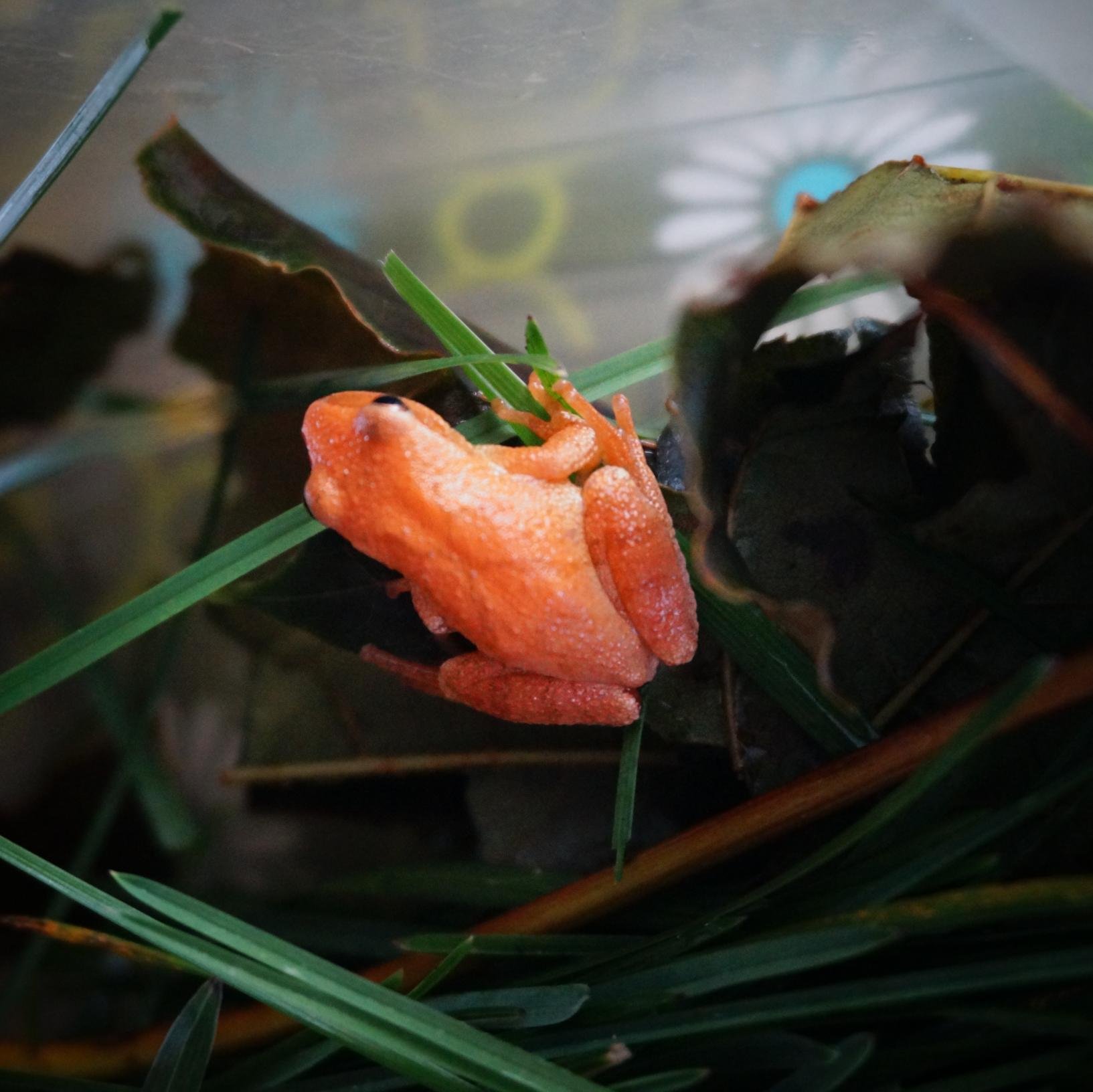 nickiesammy's profile picture. 