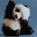 joe dark - @joedark2 - Twitter