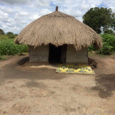 dianacazacu's profile picture. 