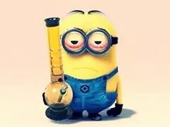 agente é luxo...o resto é lixo