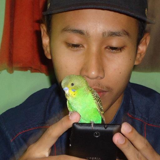 Jujur dan tanggung jawab itu lebih baik IPA 2 LETTER N