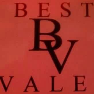 BestvaletS's profile picture. VALET PARKING