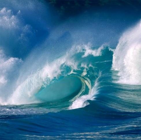 misokiz's profile picture. 